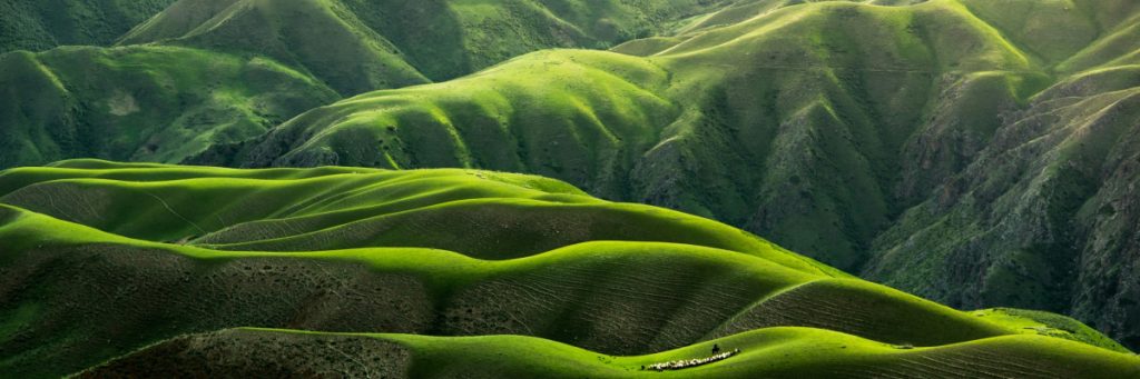 Get In Touch 1024x341 1